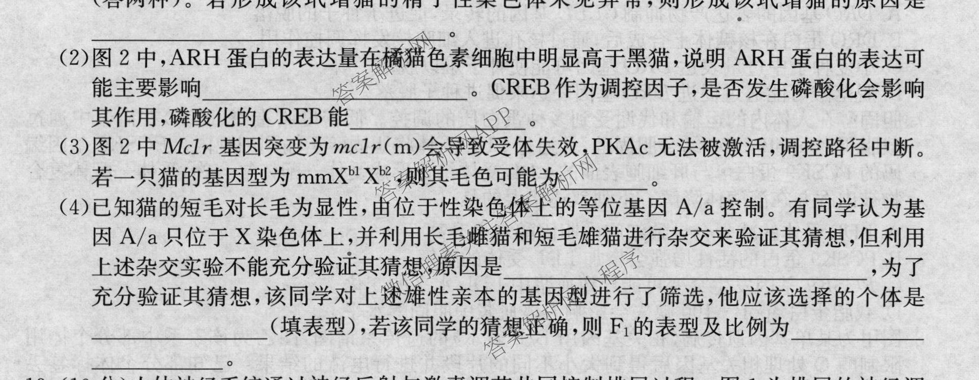 2026届全国高考调研模拟信息卷(一)1（含生物(C2)、物理(C2)、英语等）生物试题