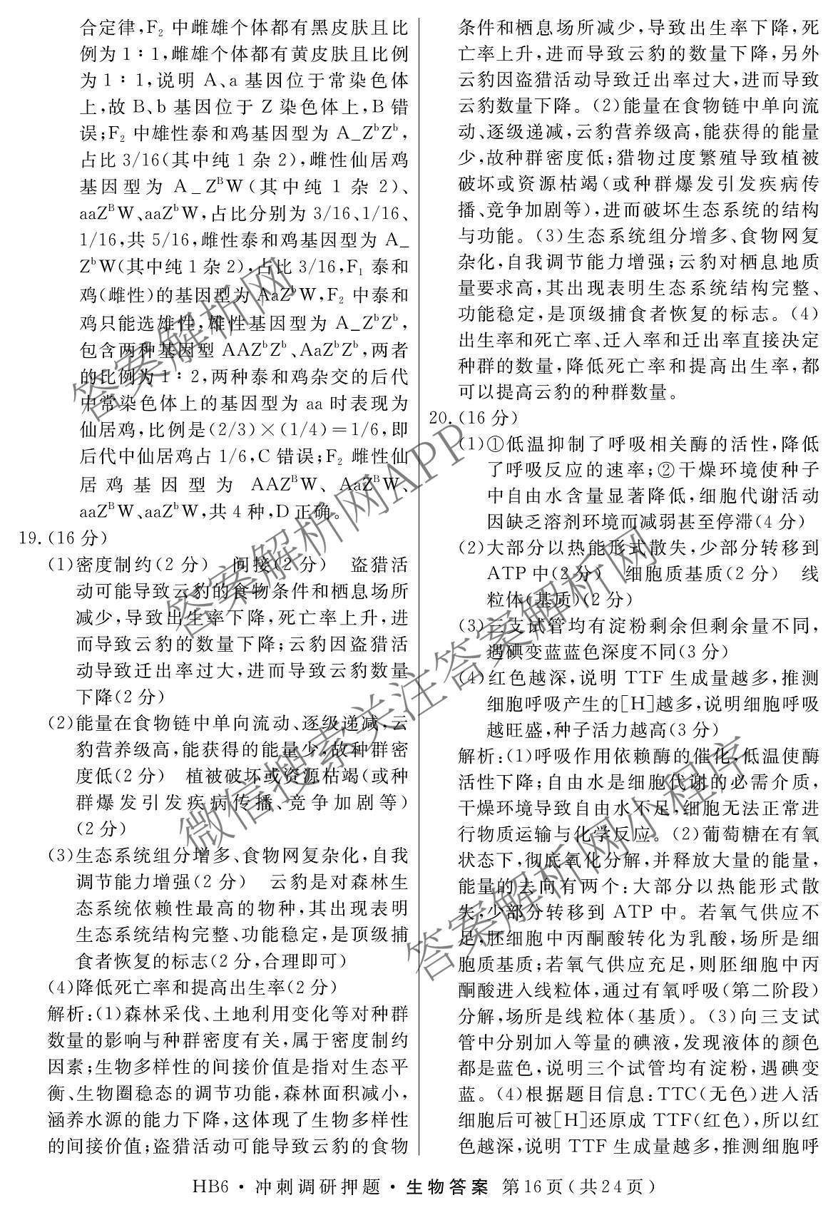 2026届冲刺调研押题实战演练(四)4（含地理(SX6) 地理(AG6) 历史(SD6)等）生物答案