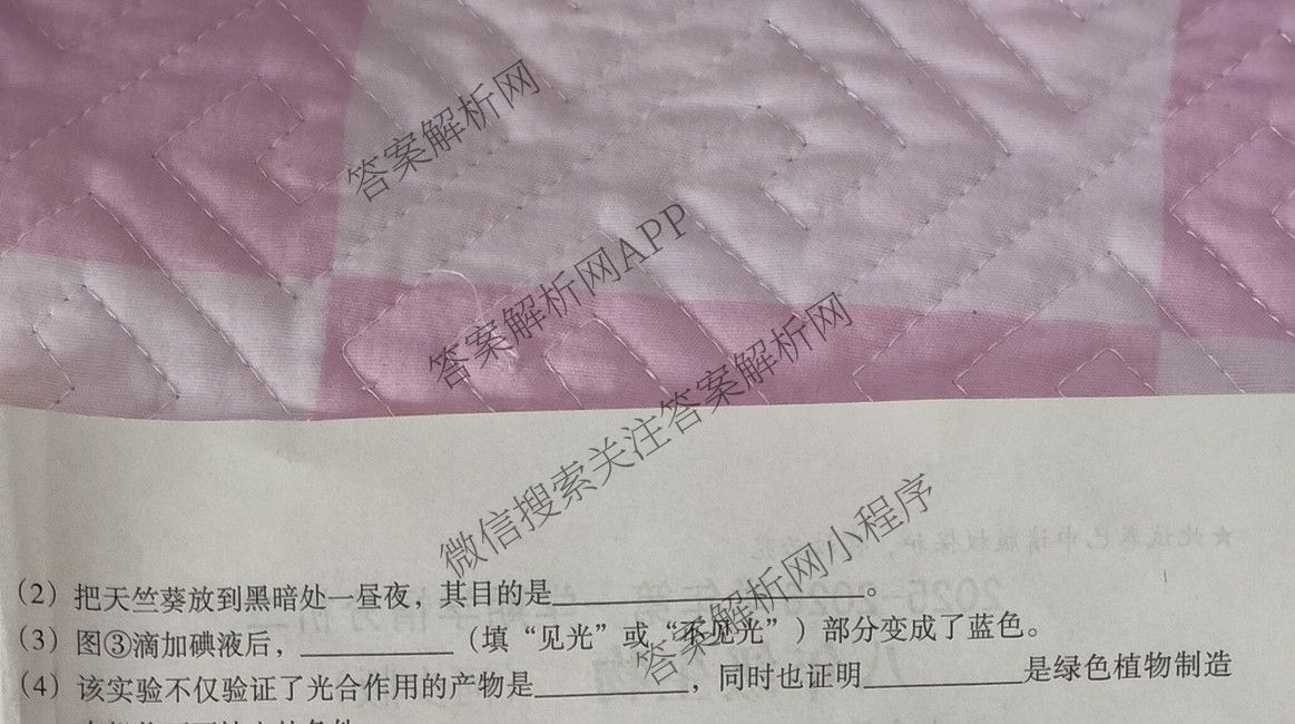 名校联盟专用河北省2025-2026学年第一学期学情分析二八年级试卷及答案汇总（含生物(河少版) 语文(部编版) 数学(人教版)等）生物试题