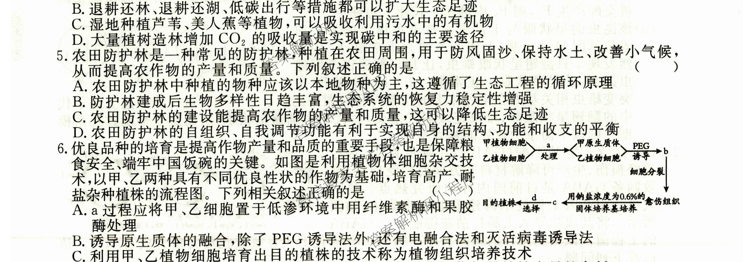 2026届高三总复习名师原创模拟(三)3各科答案及试卷（含地理(XS6J) 物理(XS6JG) 物理(HN6)等）生物试题