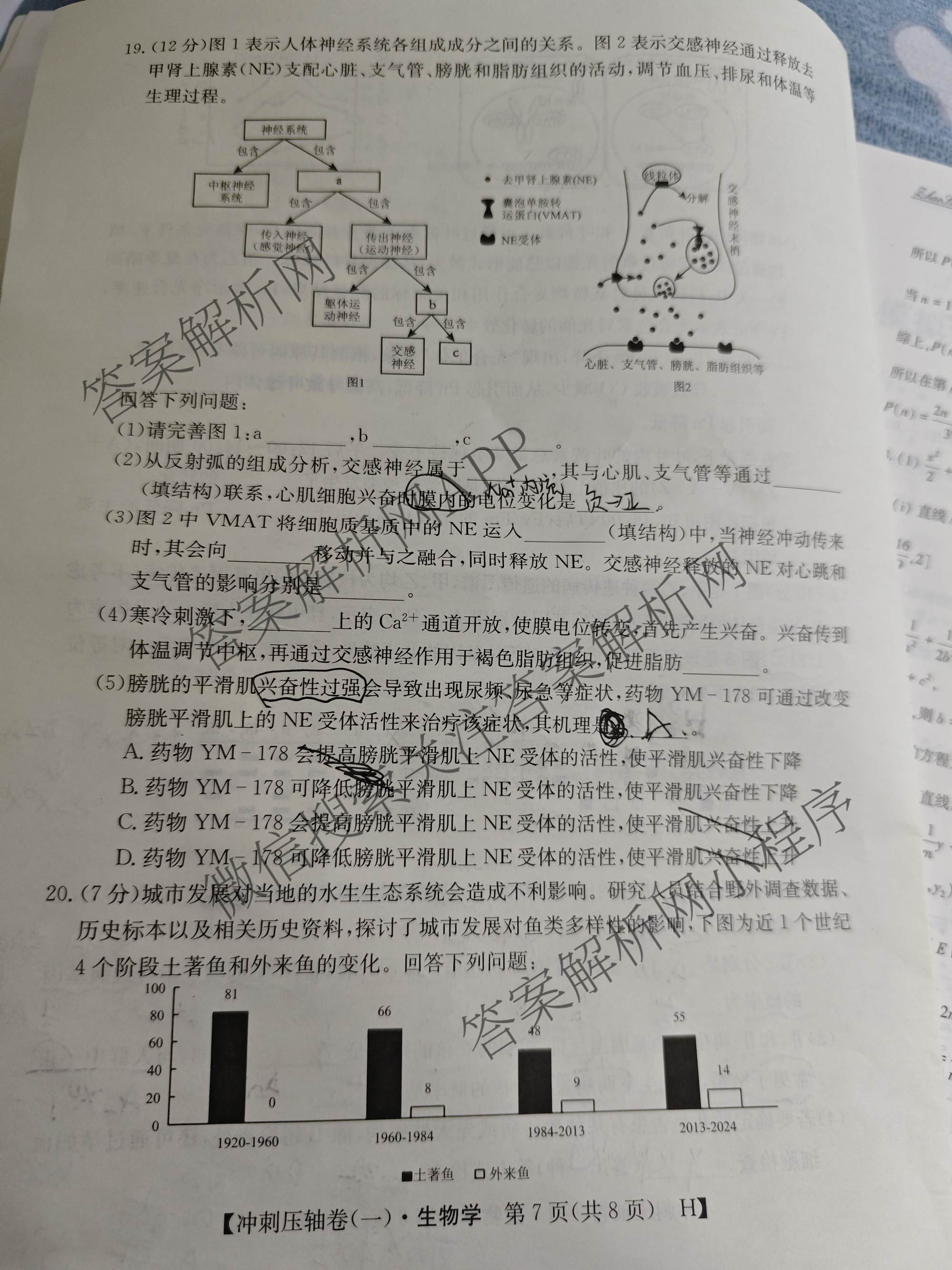 2025年普通高校招生考试冲刺压轴卷(一)1各科答案及试卷(已更新历史(K在括号外)、语文(X在括号外)、生物(A在括号外)等58份)生物试题