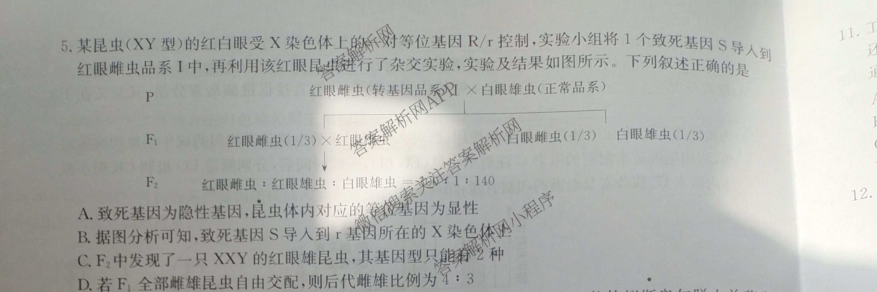 九师联盟2024~2025学年高三核心模拟卷(下)(二)2试卷及答案汇总: 含地理(D4) 政治(JX) 生物(JX)试卷解析生物试题