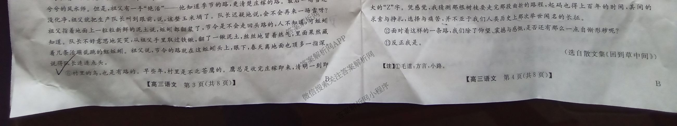 安徽省2025届高三第二学期4月质量检测巩固卷试卷及答案汇总（含数学(B) 化学(B) 英语(B)等9份）语文试题