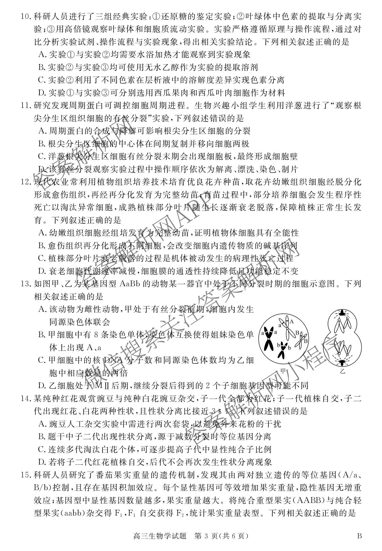 华师联盟2027届高三9月开学质量检测（10科全）生物试题