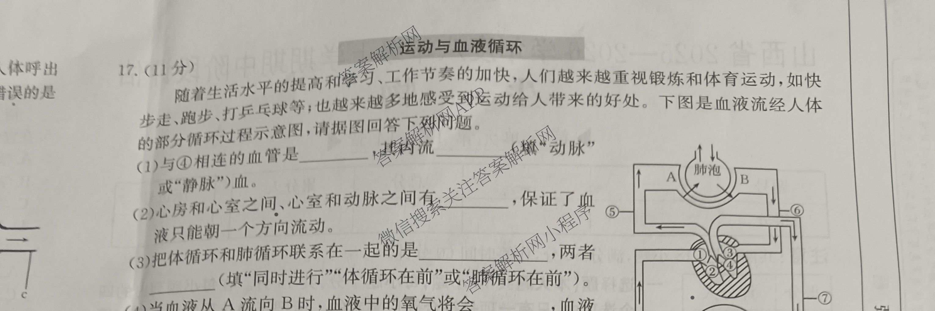 山西省2025-2026学年度八年级上学期期中阶段评估[PGZXDSHX(二)]（含数学(BSD)、地理(R)、物理(R)等）生物试题