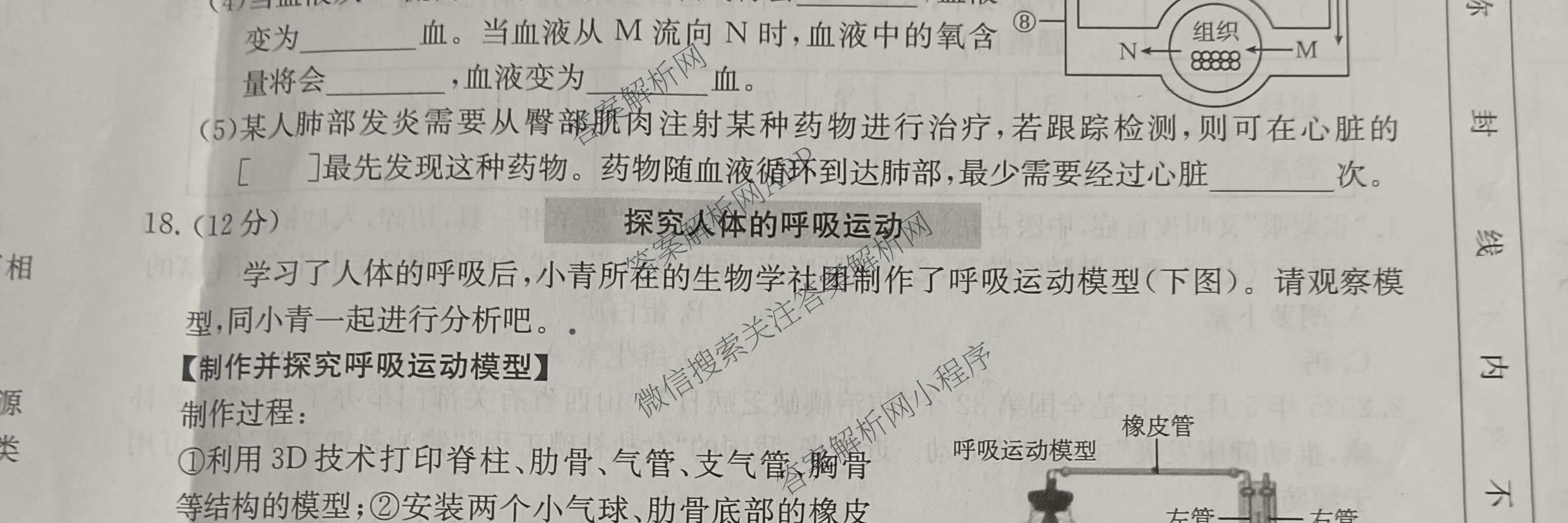 山西省2025-2026学年度八年级上学期期中阶段评估[PGZXDSHX(二)]（含数学(BSD)、地理(R)、物理(R)等）生物试题