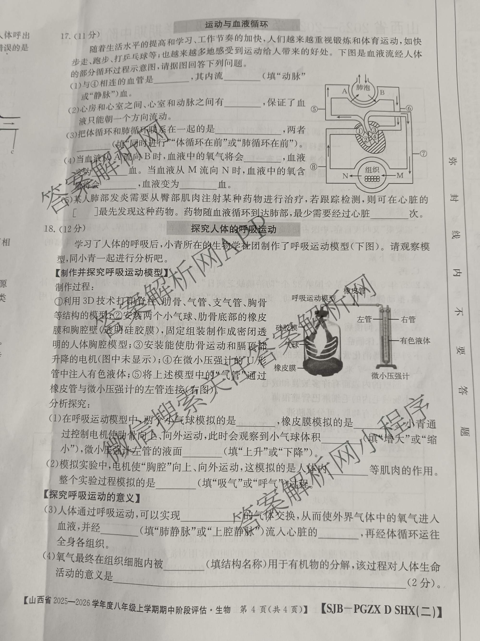 晋城市八年级上学期长标期中各科答案及试卷（15科全）生物试题