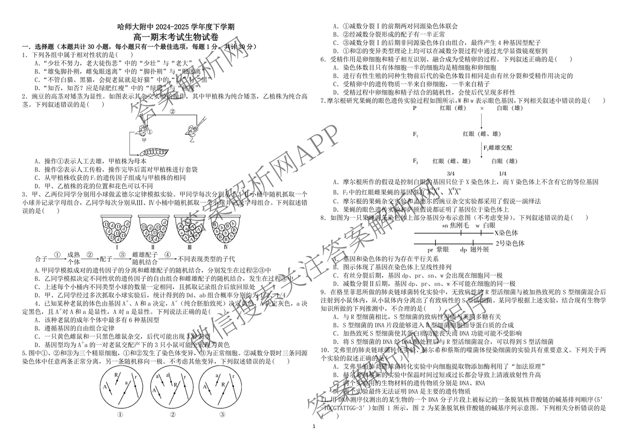 哈师大附中2024~2025学年度下学期高一期末考试各科答案及试卷: 含化学 历史 物理试卷解析生物试题