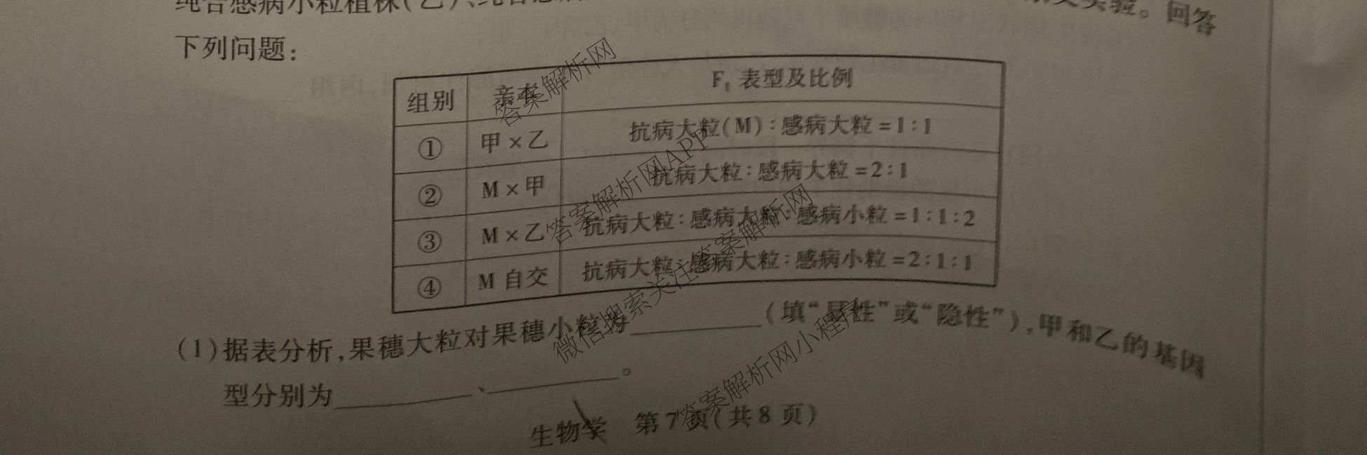 天一大联考2027届高三联考(★★★202609)(9.8)各科答案及试卷（含语文、英语、物理等）生物试题
