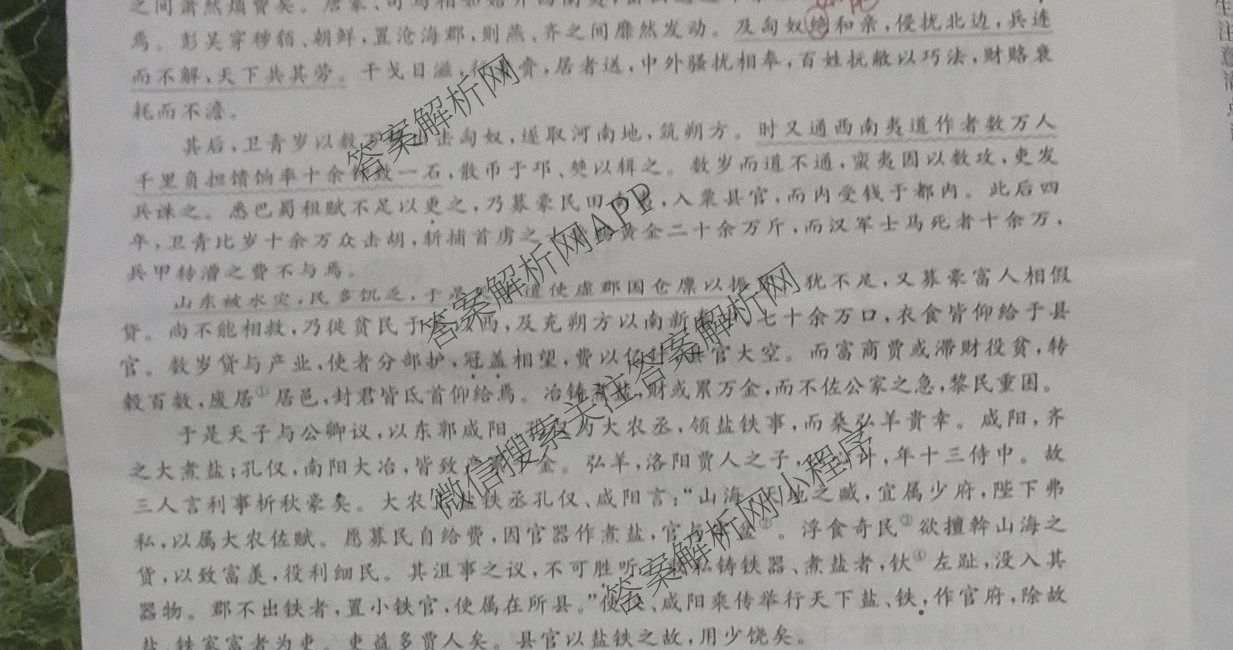 青桐鸣2025届普通高等学校招生全国统一考试高考冲刺联考卷(一)1各科答案及试卷（含地理、数学、生物等）语文试题