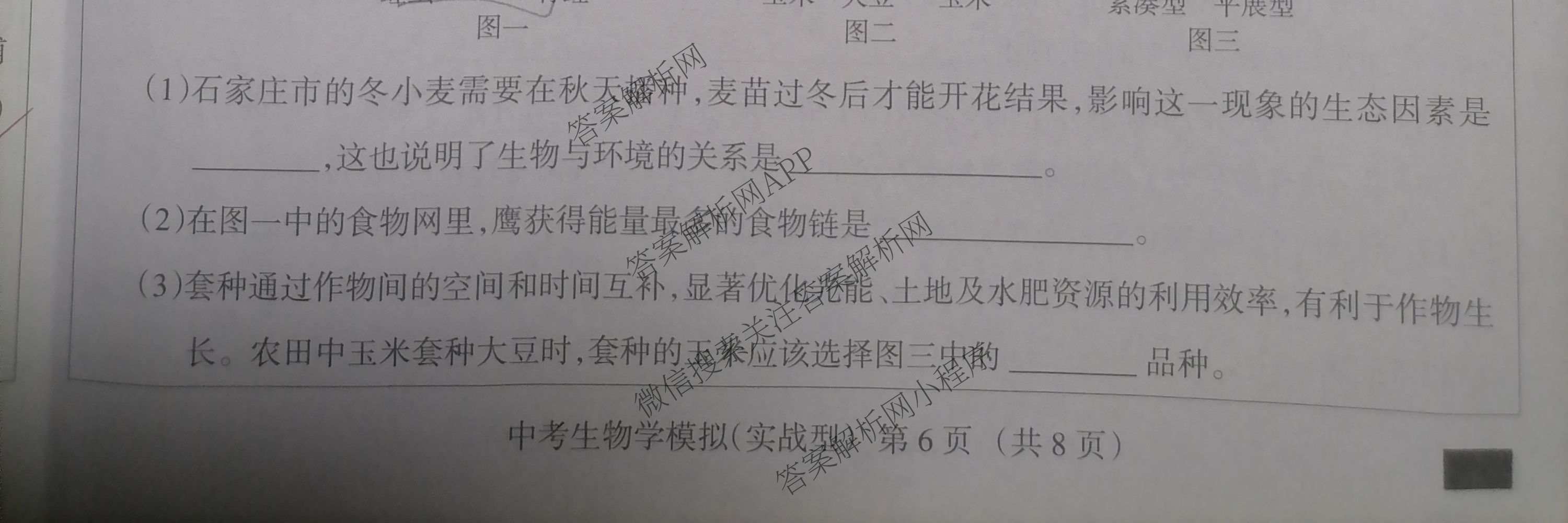 2026年中考模拟系列河北省初中学业水模拟考试(八年级)(实战型)各科答案及试卷(已更新语文 数学 历史等8份)生物试题
