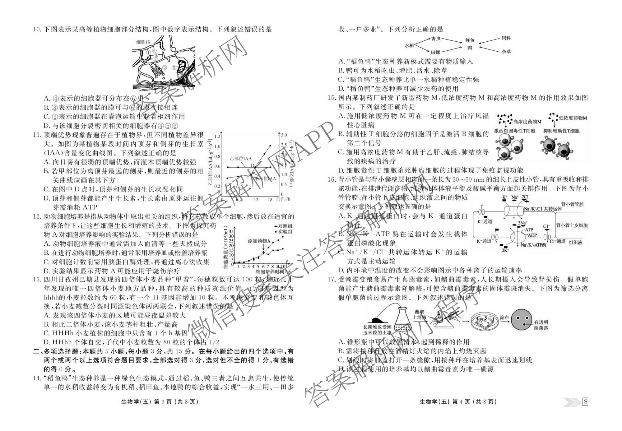 衡水金卷先享题2026年学科素养评价练(五)5(已更新地理(HJ)【河北专版】、地理(HN)【湖南专版】、生物(CY)【四川重庆专版】等90份)生物试题