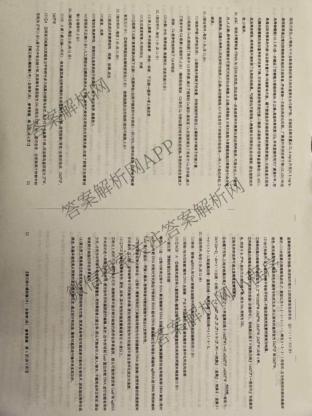 九师联盟2025~2026学年高三核心模拟卷(中)(四)试卷及答案汇总（含物理(A)、物理(HF)、生物(D1)等36份）生物答案