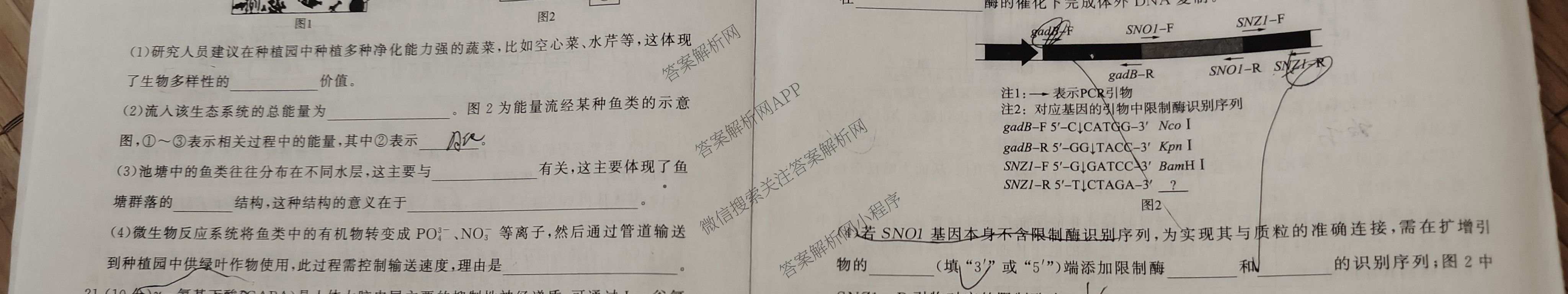 百师联盟2026届高三开学摸底联考各科答案及试卷（含化学(百G) 物理(百L) 英语(百B)等）生物试题