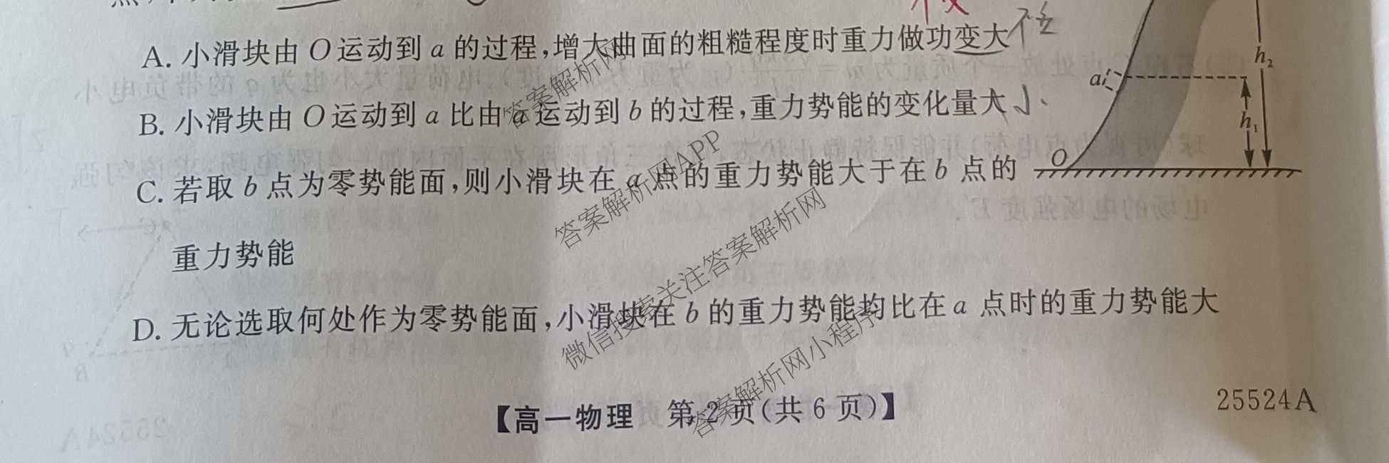 彬州中学2024-2025学年第二学期高一年级第三次月考(25524A)（含英语 政治 地理等）物理试题