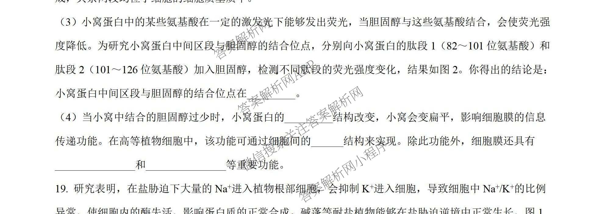 陕西省榆林市榆阳区高三第一次模拟考试(2026.9)（含地理、物理、生物等9份）生物试题