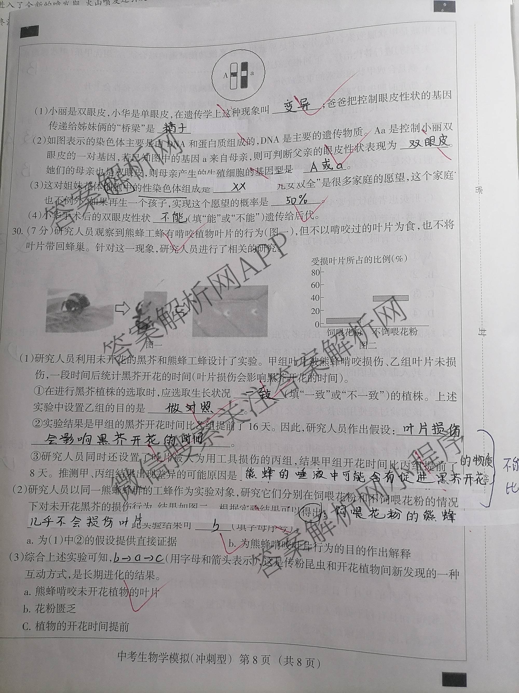 2026年中考模拟系列河北省初中学业水模拟考试(八年级)(冲刺型)各科答案及试卷（含物理、生物、数学等）生物试题