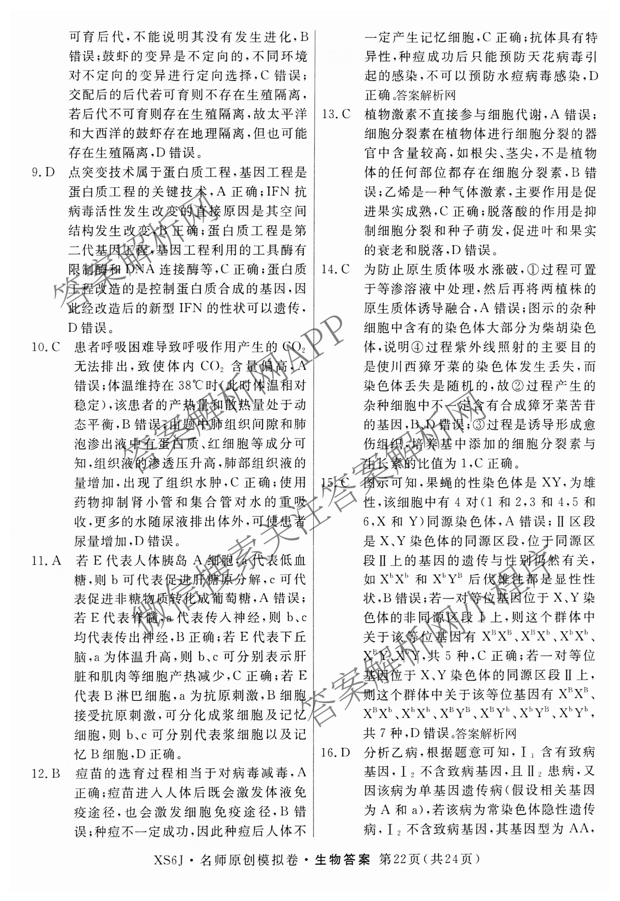 2026届高三总复习名师原创模拟(十二)12试卷及答案汇总（含语文(XS6G) 化学(XS6JG) 历史(新S6J)等）生物答案