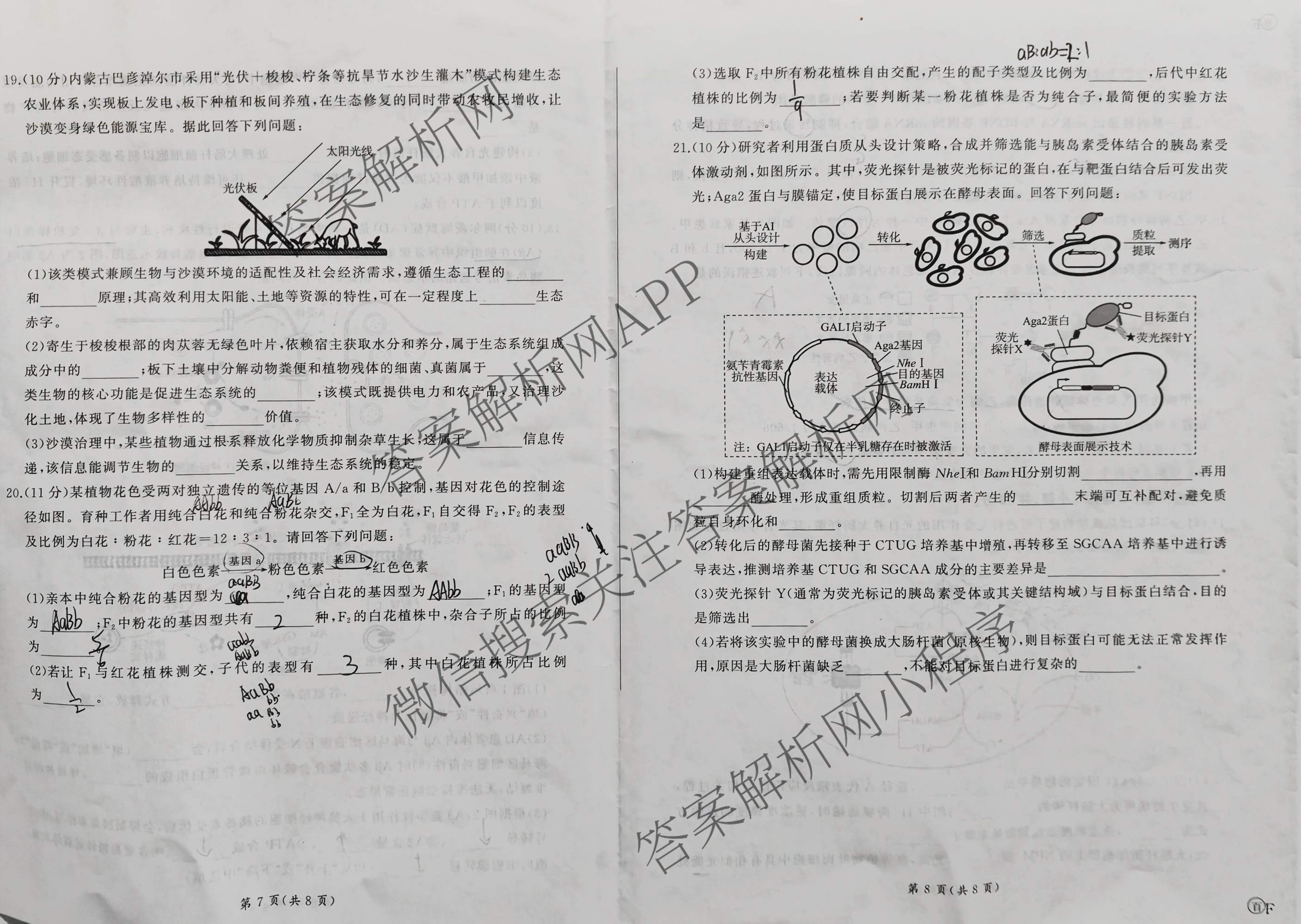 百师联盟2026届高三开年大联考(3.5)(已更新数学(百C)、历史(百N)、历史(百G)等81份)生物试题