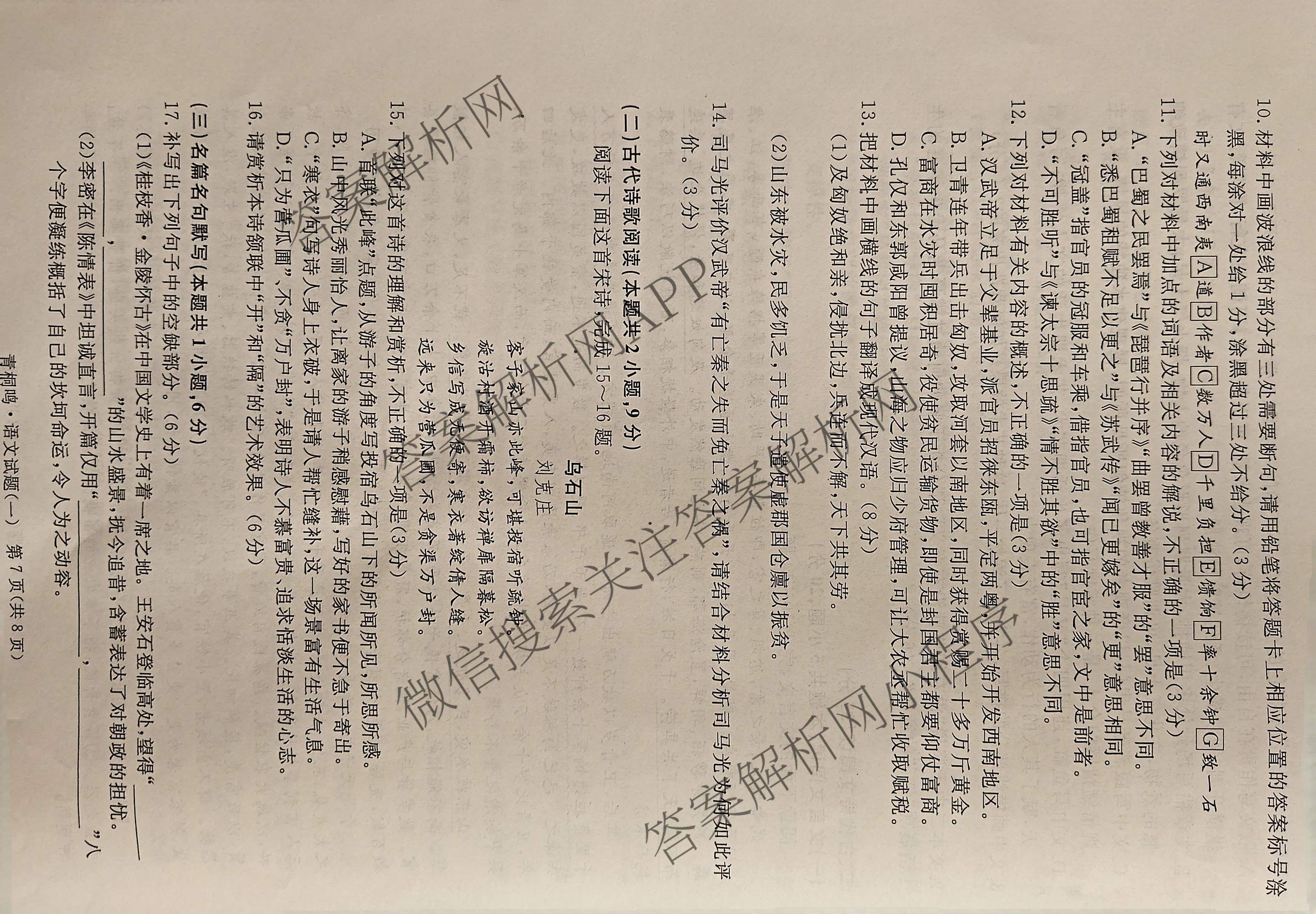 青桐鸣2025届普通高等学校招生全国统一考试高考冲刺联考卷(一)1各科答案及试卷（含地理、数学、生物等）语文试题
