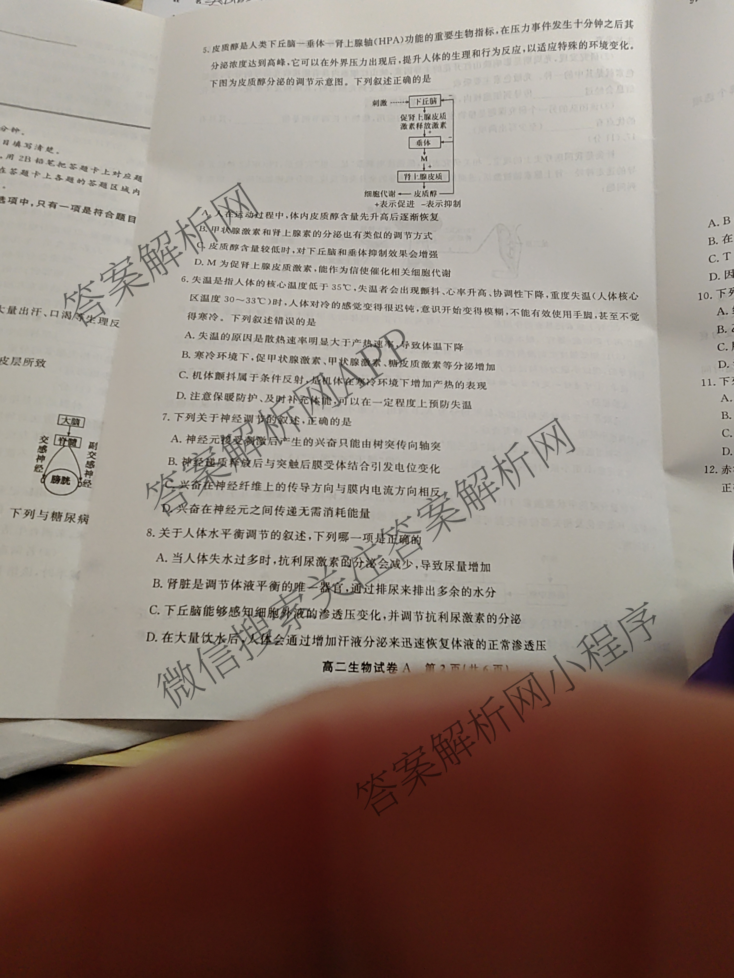 安徽金榜教育2024-2025高二上学期12月联考(12.19)试卷及答案汇总(已更新生物(A卷) 化学(A卷) 物理(A)等11份)生物试题