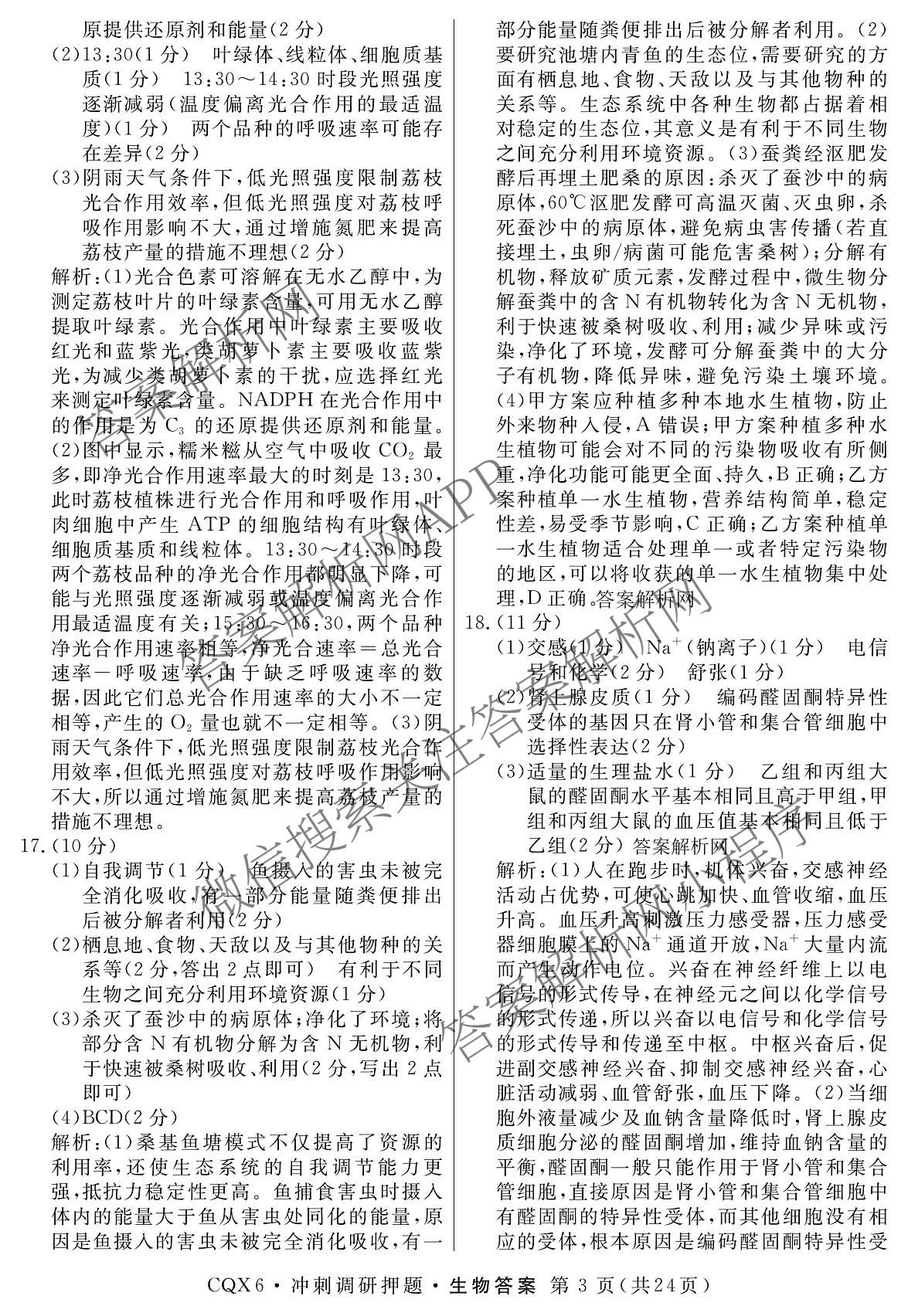 2026届冲刺调研押题实战演练(一)1各科答案及试卷（含历史(新S6J) 化学(新S6J) 地理(XS6J)等）生物答案