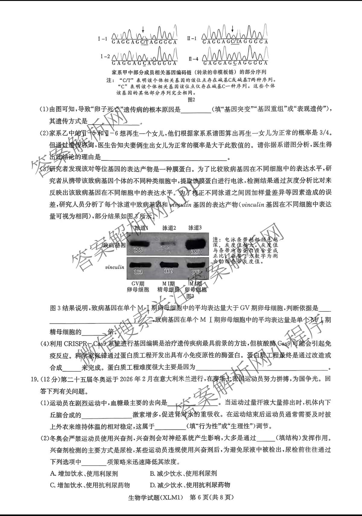 湖南新高考教学教研联盟2026届高三下学期3月联考(XLM1)各科答案及试卷（10科全）生物试题