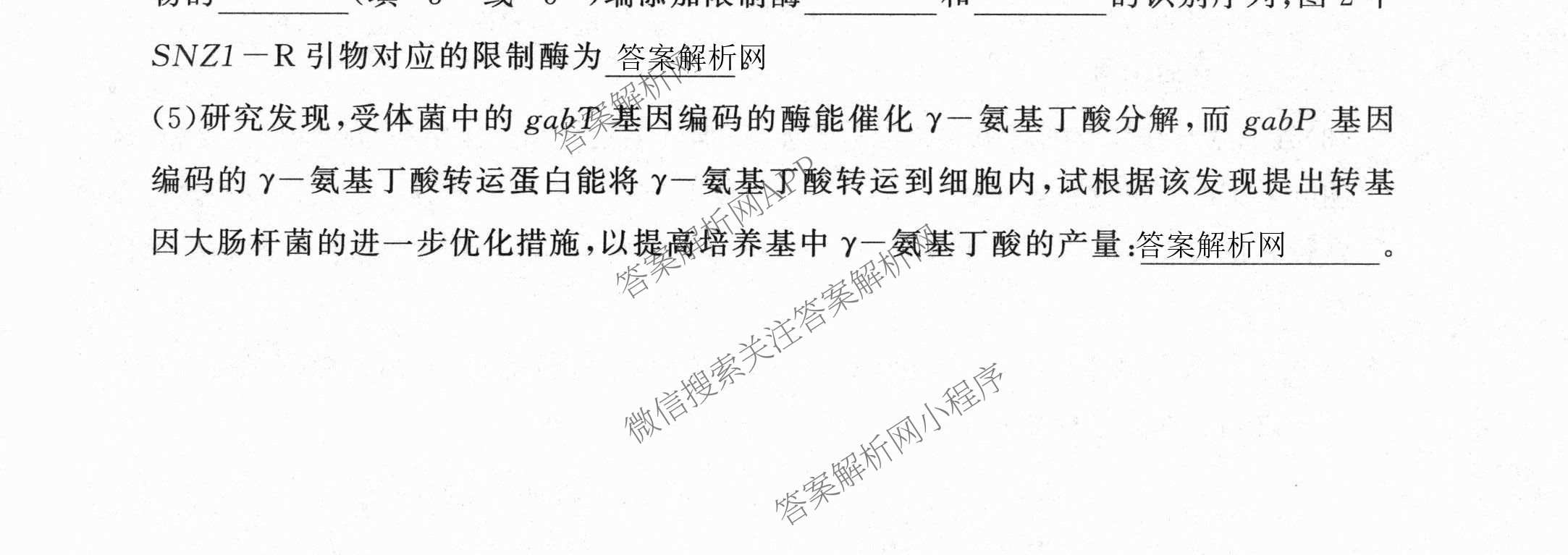 百师联盟2026届高三开学摸底联考各科答案及试卷（含化学(百G) 物理(百L) 英语(百B)等）生物试题