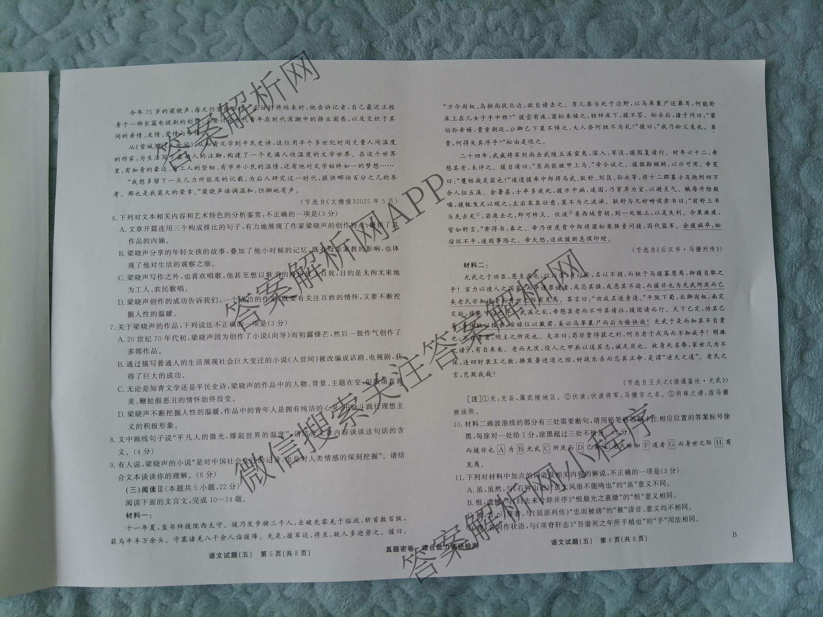 衡水真题密卷2025-2026学年度综合能力调研检测(五)5试卷及答案汇总（15科全）语文试题