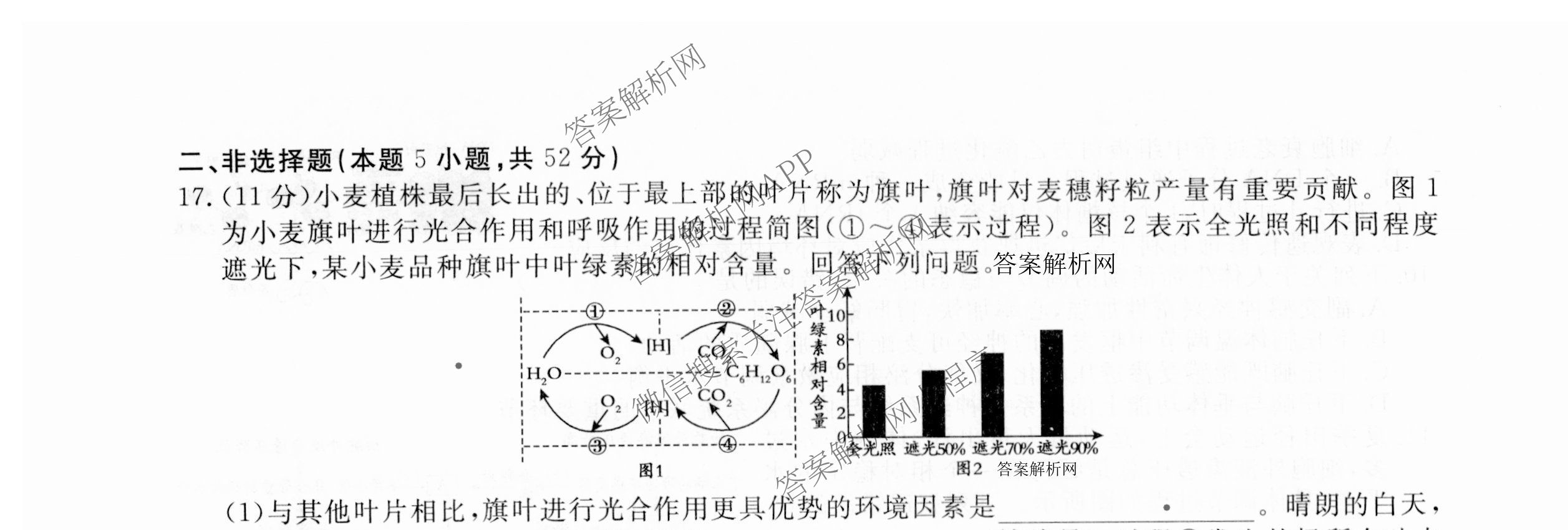 2026届高三总复习名师原创模拟(七)7各科答案及试卷（含地理(XS6J)、地理(CQX6)、政治(HEN6G)等）生物试题