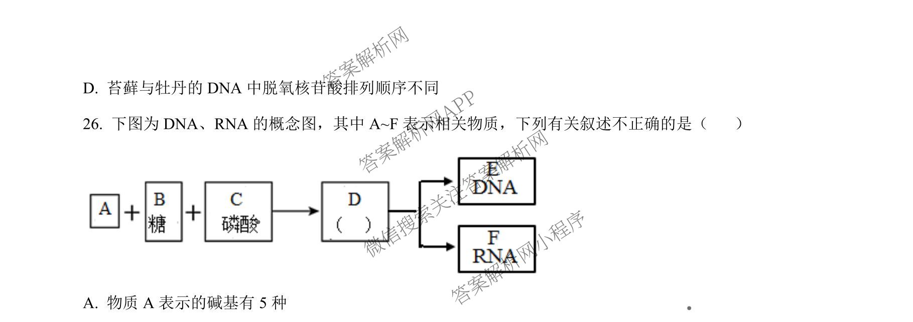 成都市列五中学2025-2026学年度(上)阶段性考试(一)高2025级: 含政治 英语 数学试卷解析生物试题
