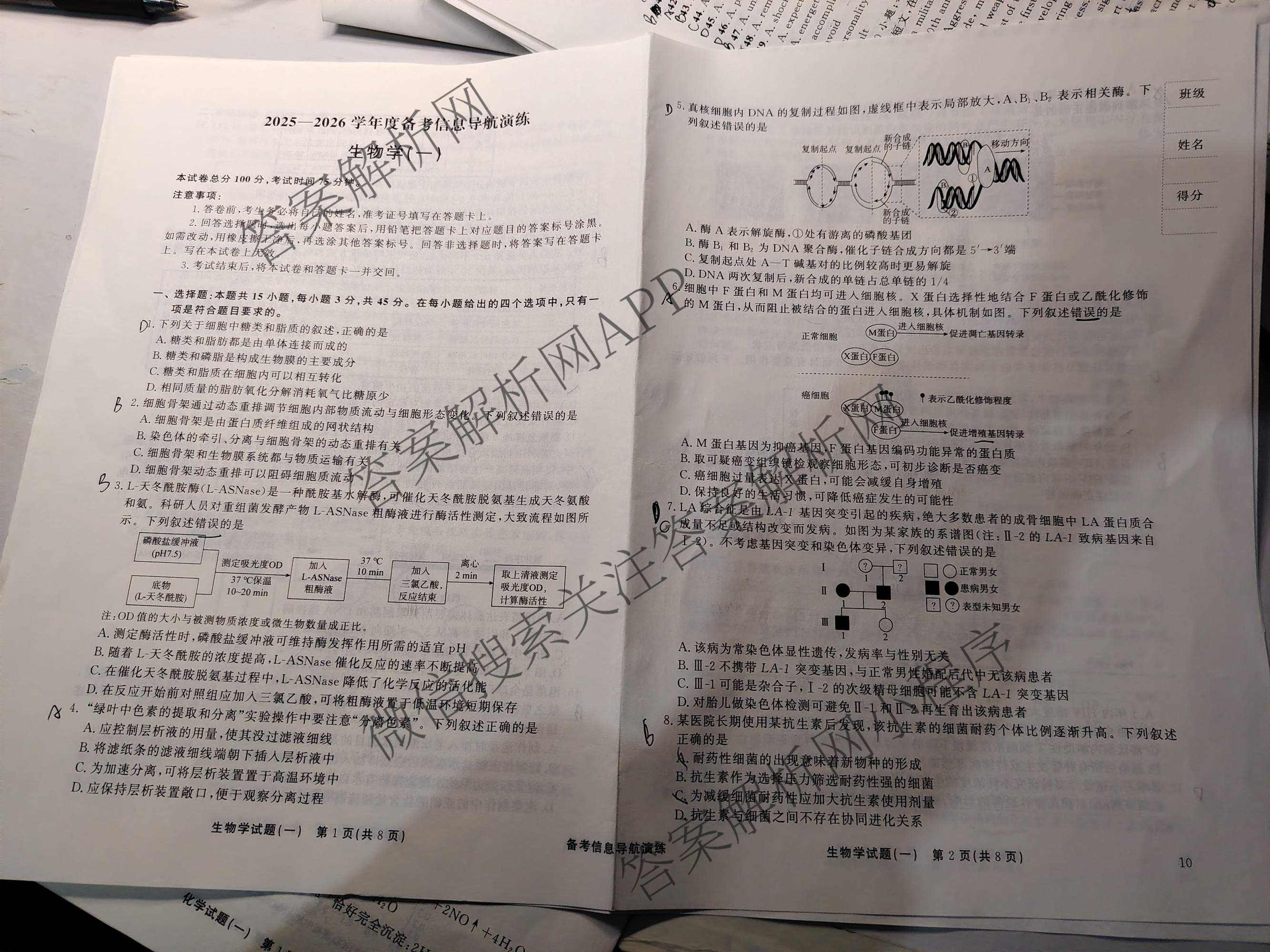 真题密卷2025-2026学年度备考信息导航演练(一)1试卷及答案汇总（含化学(7) 英语(BT) 语文(A)等）生物试题