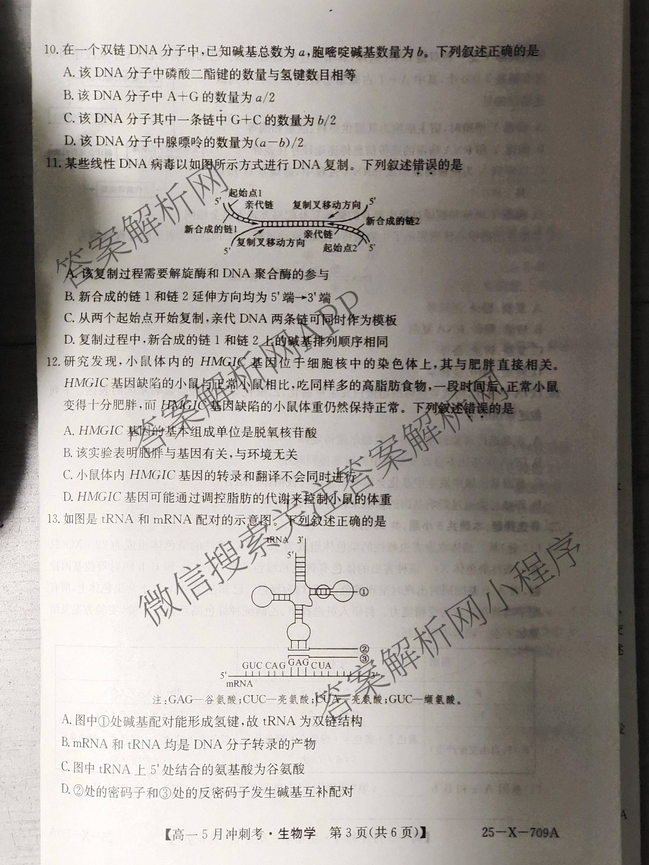 三晋卓越联盟山西省2024~2025学年第二学期高一5月冲刺考(25-X-709A)试卷及答案汇总（含政治(B卷)、数学(B卷)、历史等）生物试题