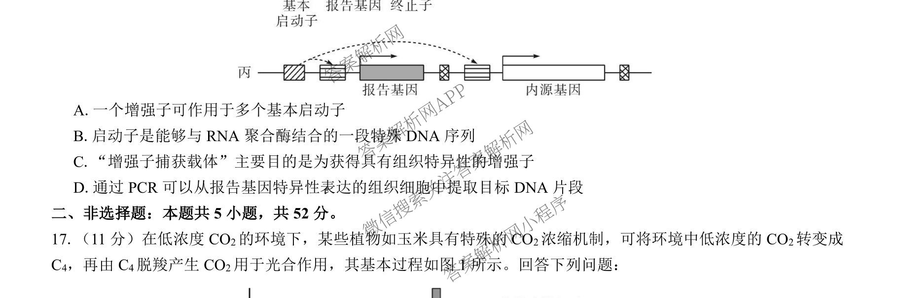 名校教研联盟2026届高考仿真模拟卷(样卷)试卷及答案汇总(含英语 物理(A) 地理(A)等)生物试题 名校教研联盟2026届高考仿真模拟卷(样卷)试卷及答案汇总(含英语 物理(A) 地理(A)等)生物试题