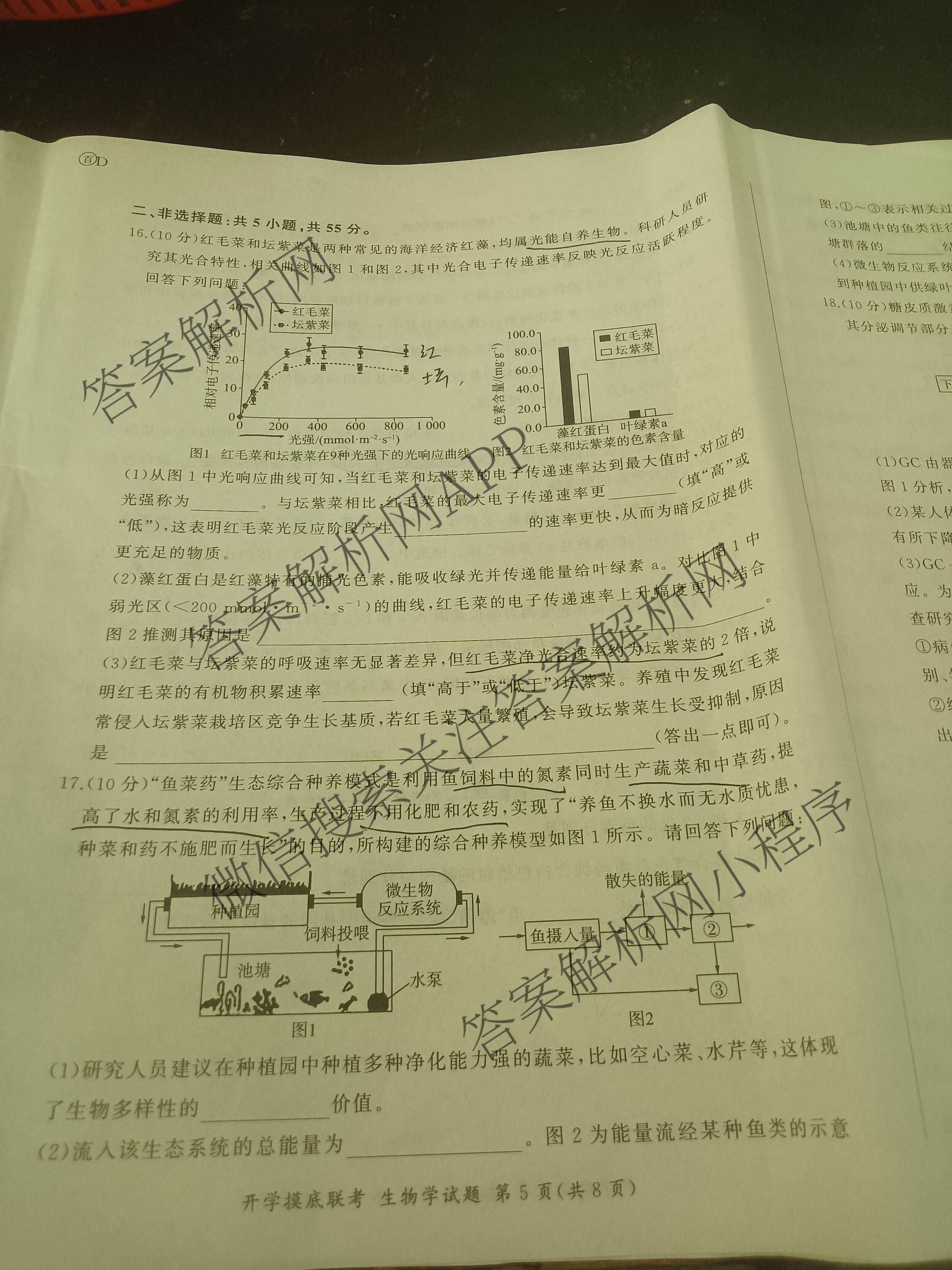 百师联盟2026届高三开学摸底联考各科答案及试卷（含化学(百G) 物理(百L) 英语(百B)等）生物试题