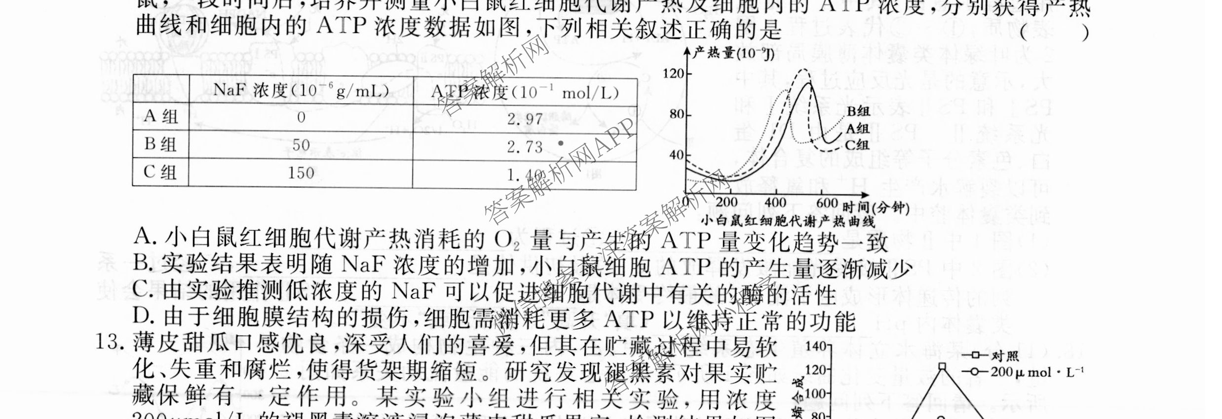 2026届高三总复习名师原创模拟(四)4试卷及答案汇总: 含政治(新S6J) 历史(新S6J) 语文(XS6J)试卷解析生物试题