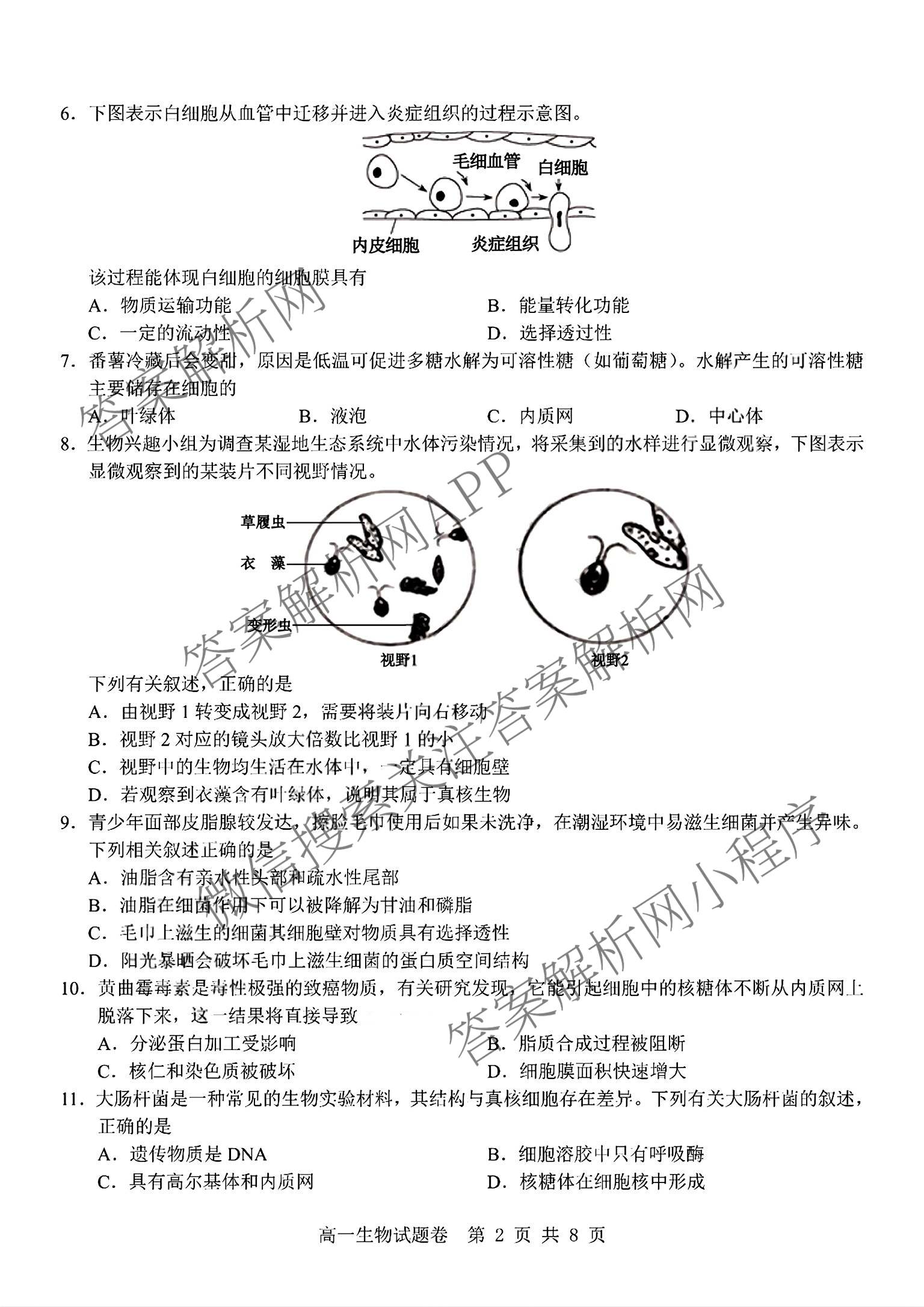 2025学年第一学期期中杭州地区(含周边)重点中学高一年级(已更新物理 英语 数学等9份)生物试题