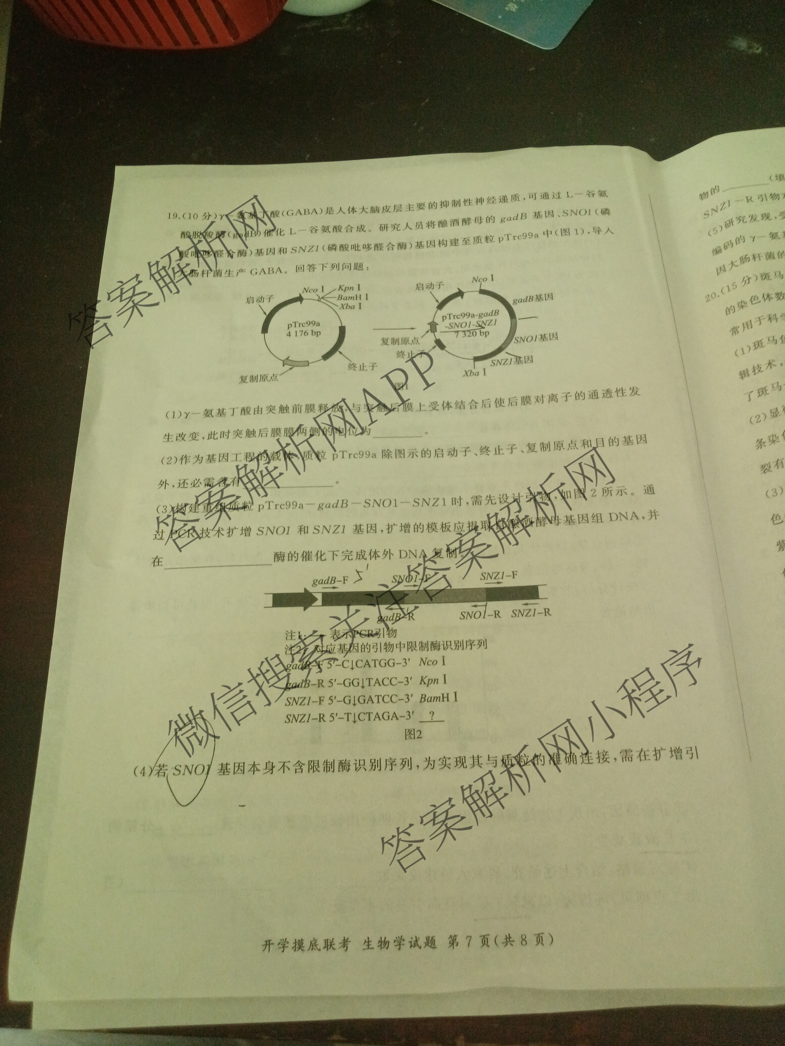 百师联盟2026届高三开学摸底联考(已更新物理(百C) 物理(百E) 地理(S)等56份)生物试题