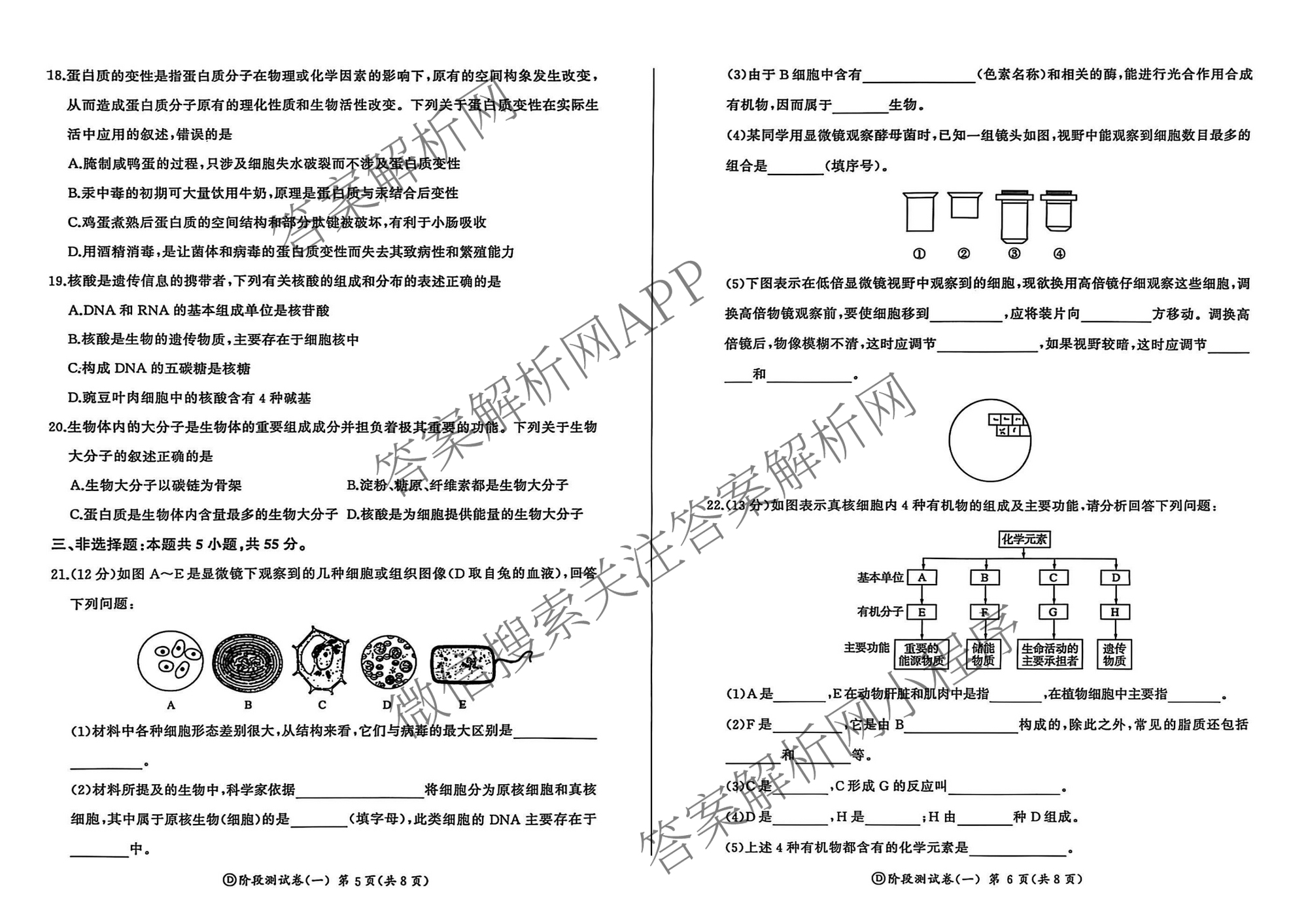百师联盟2025-2026学年高一上学期阶段测试卷(一)1试卷及答案汇总（含地理(人教版90分钟)、物理(75min单选)、生物(75分钟多选)等34份）生物试题