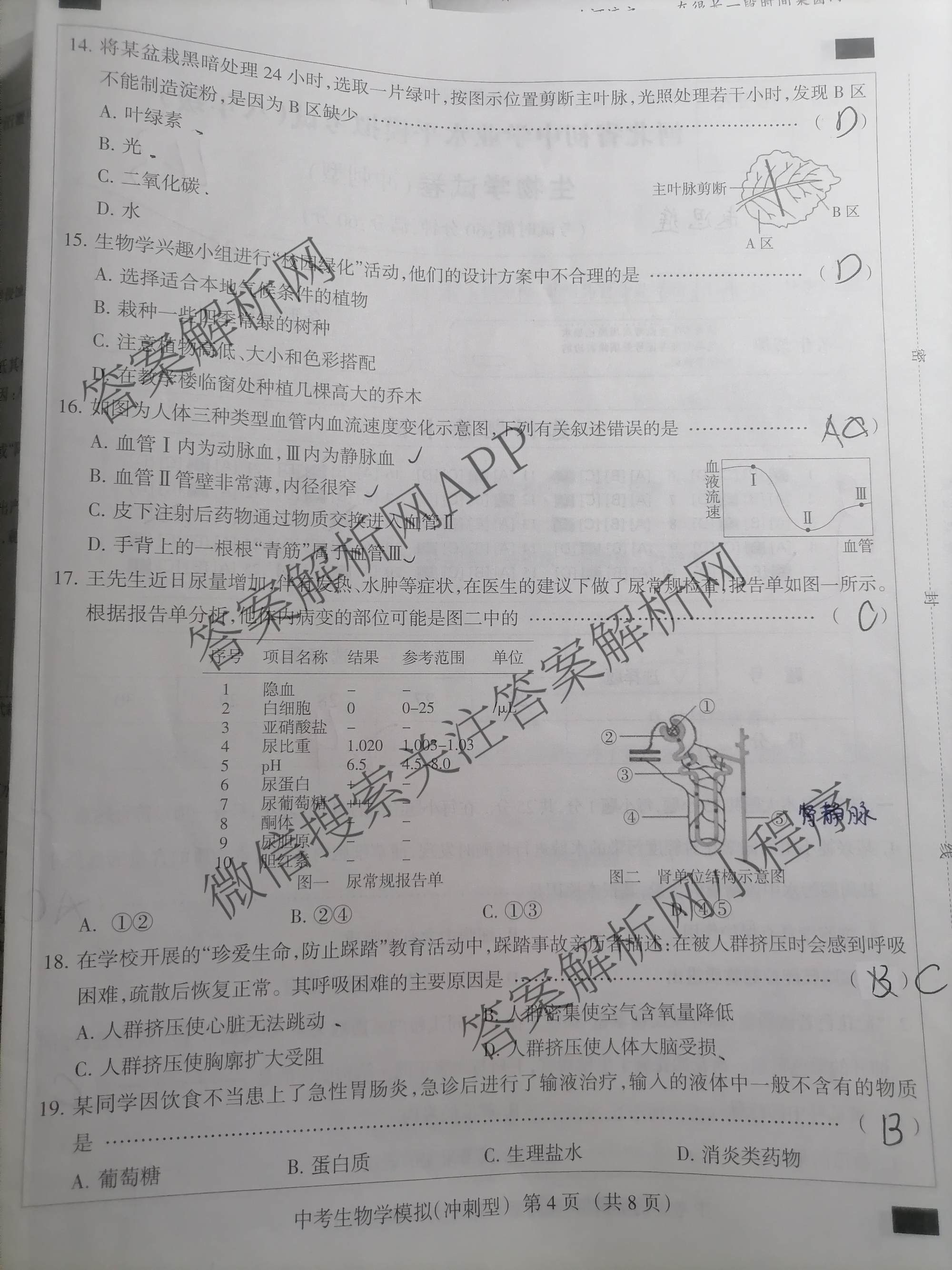 2026年中考模拟系列河北省初中学业水模拟考试(八年级)(冲刺型)各科答案及试卷（含物理、生物、数学等）生物试题