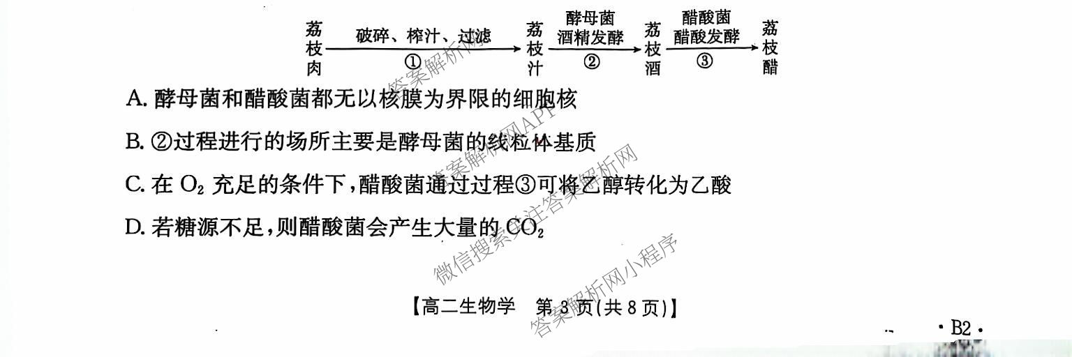 2024-2025学年广东高二教学期中检测(4.28)试卷及答案汇总（含英语、政治(B1)、生物(B2)等10份）生物试题