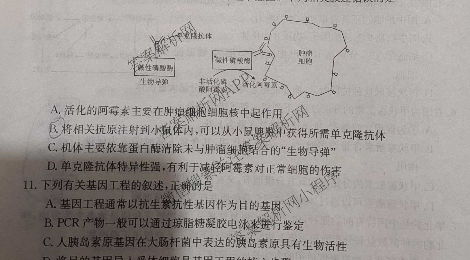 2025年普通高校招生考试冲刺压轴卷(一)1各科答案及试卷(已更新历史(K在括号外)、语文(X在括号外)、生物(A在括号外)等58份)生物试题