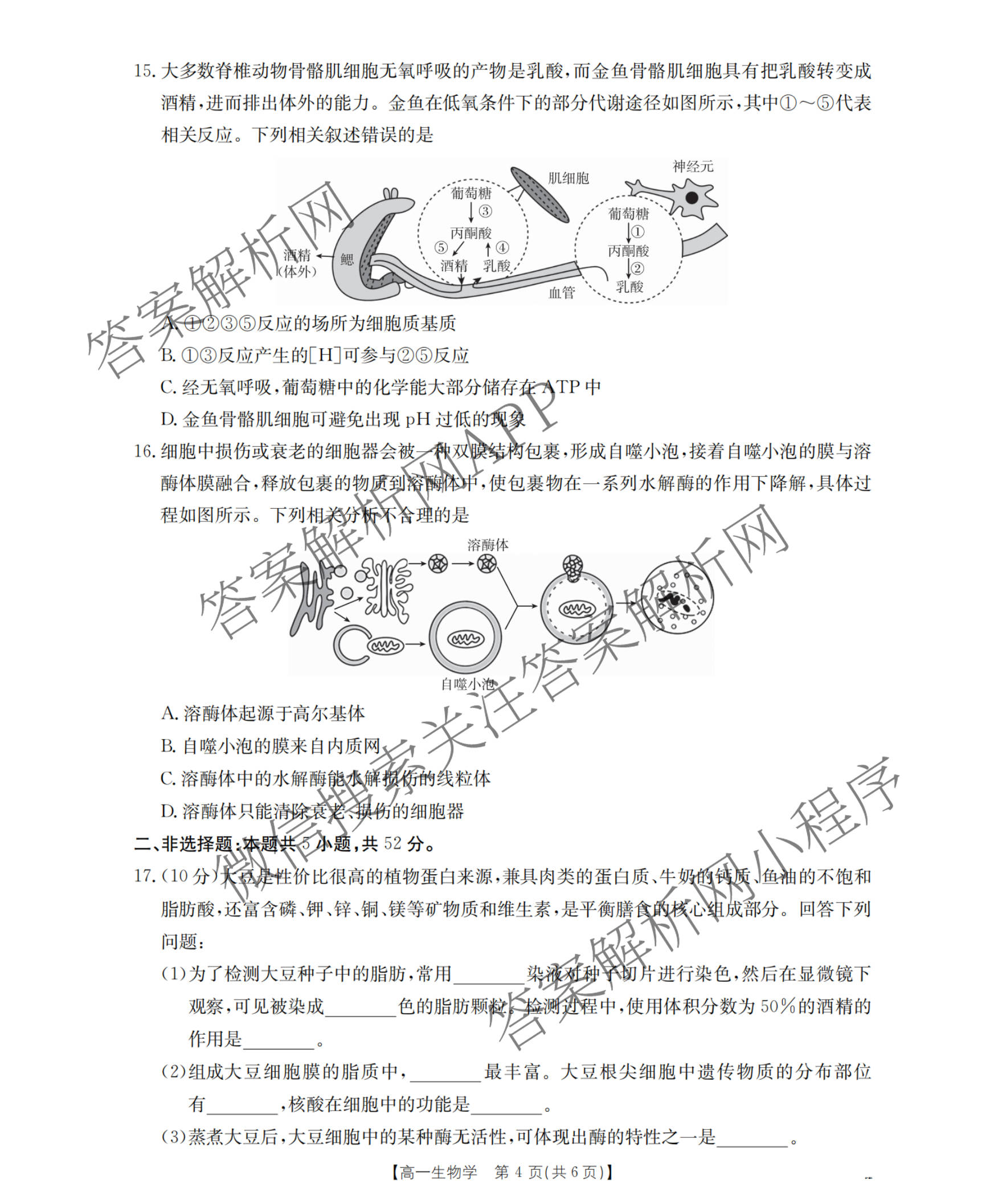 河南省郑州市2025-2026学年高一考试(2.28)试卷及答案汇总: 含政治 语文 化学试卷解析生物试题