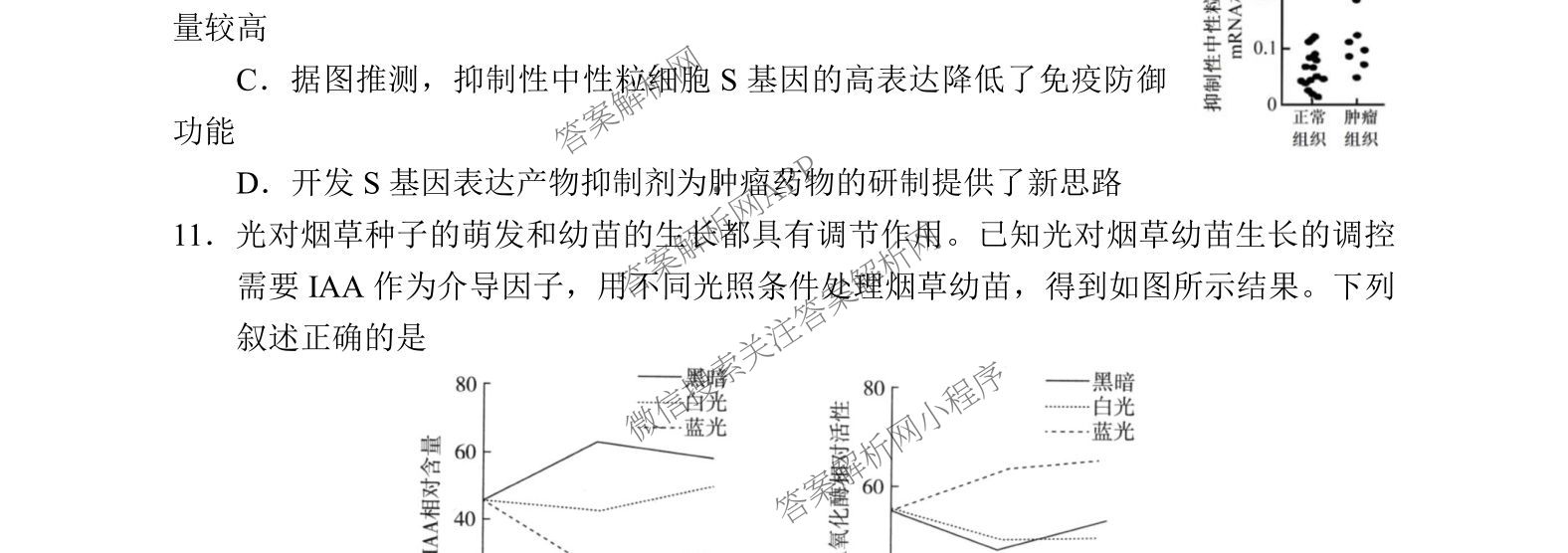 长春市2025届高三质量监测(四)（含政治 数学 物理等）生物试题