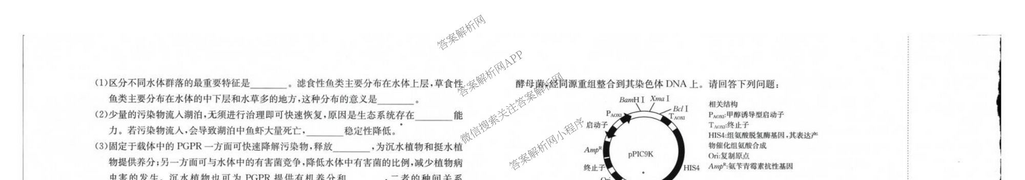 广西2026届高三10月考试(9科全)生物试题 广西2026届高三10月考试(9科全)生物试题