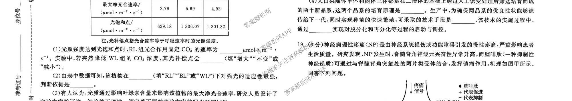 天舟高考衡中同卷2026年普通高等学校招生全国统一考试模拟信息卷(一)1试卷及答案汇总（含化学(JY)、物理(HJ)、物理(无字母)等）生物试题