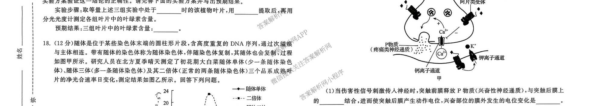 天舟高考衡中同卷2026年普通高等学校招生全国统一考试模拟信息卷(一)1（含历史(WY)、数学(B)、物理(WY)等）生物试题