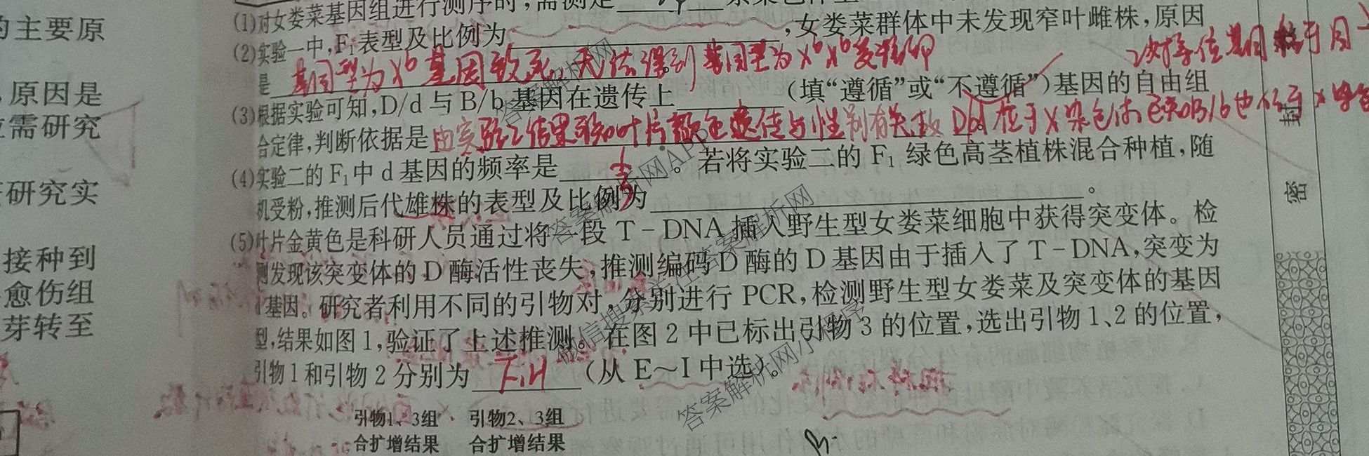 2026年全国高考冲刺压轴卷(二)2各科答案及试卷(已更新政治(B3) 生物(江西) 物理(B1)等75份)生物试题