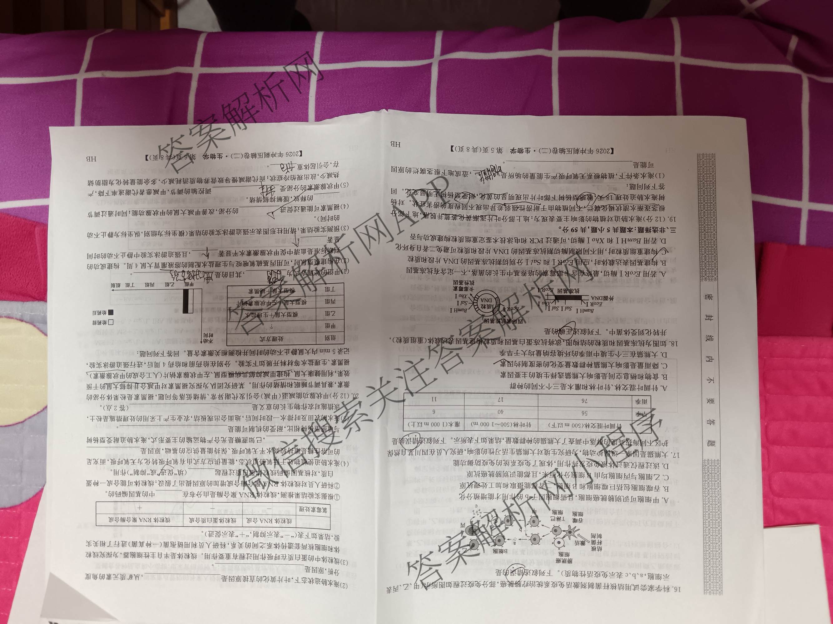 2026年全国高考冲刺压轴卷(二)2各科答案及试卷(已更新政治(B3) 生物(江西) 物理(B1)等75份)生物试题