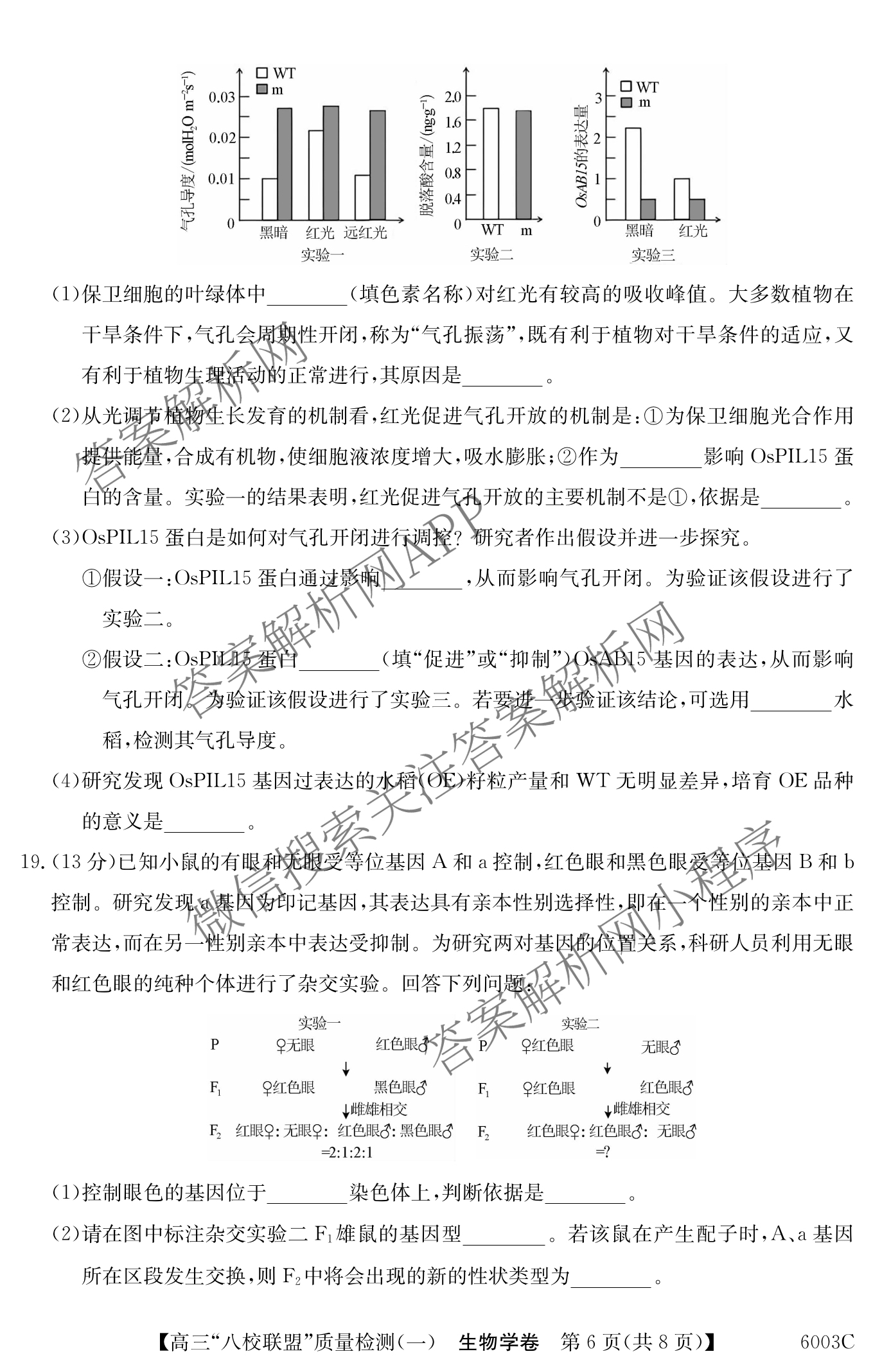 2025~2026学年度广东省高三
